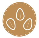 Sesame